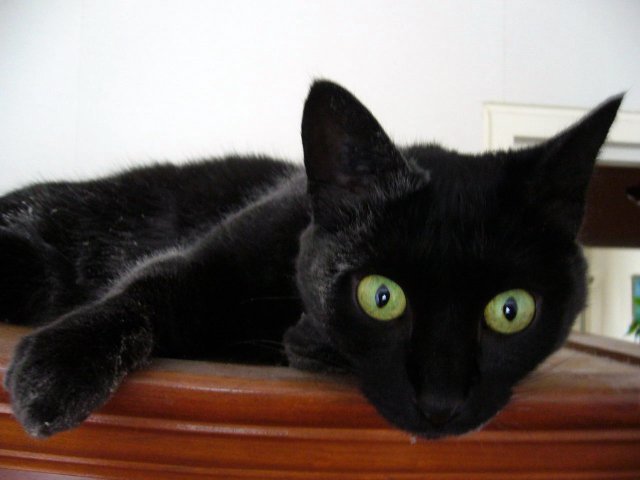 2007-08-28 Te manger_l.jpg